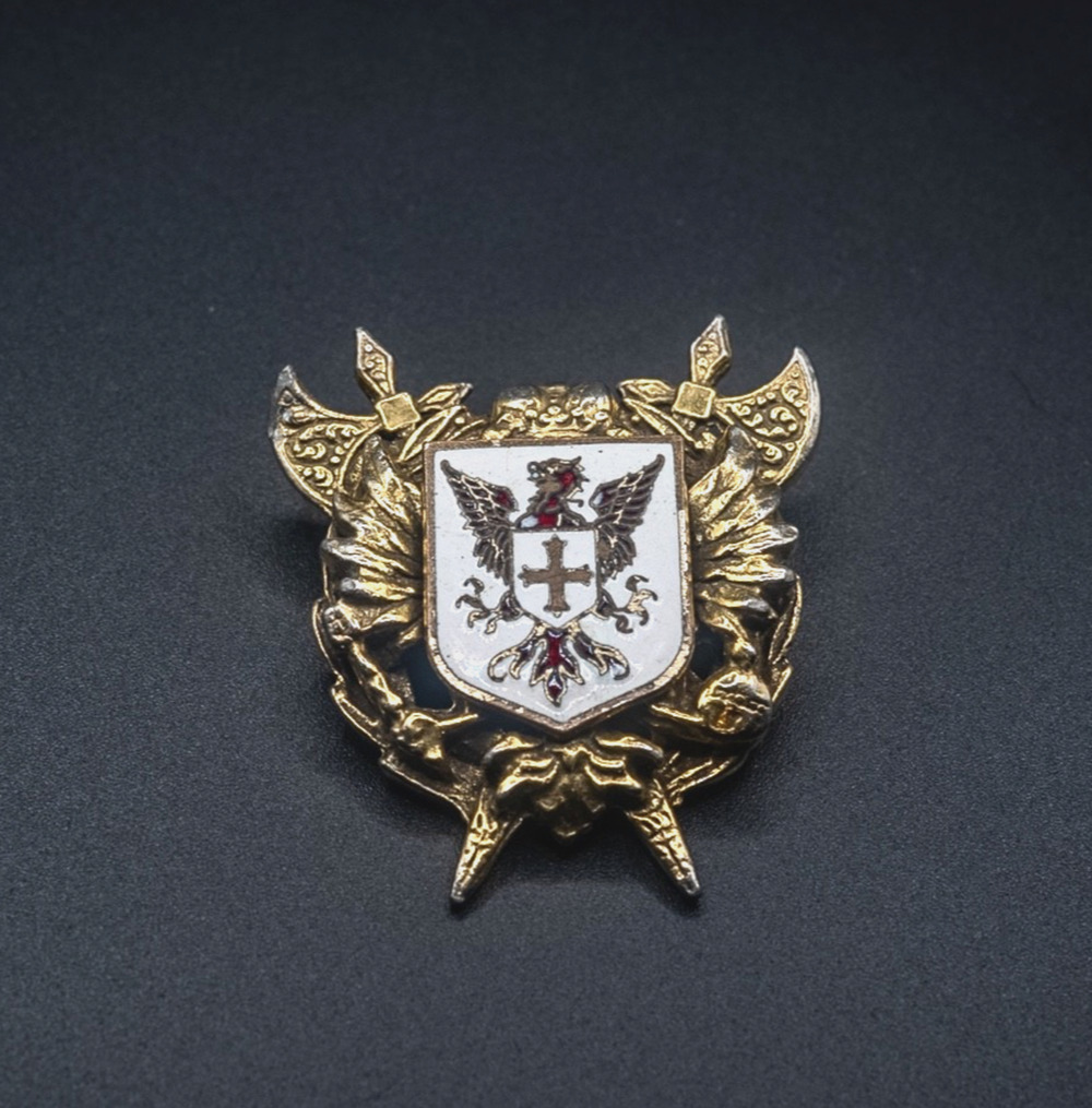 European Vintage Heraldic Shield Enameled Eagle coat of arms brooch Pin